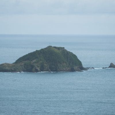 _DSC0082